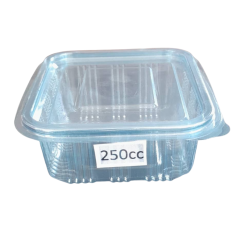 250cc Food Container Self Closed