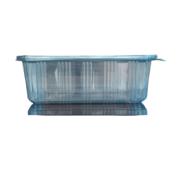 1750cc Food Container Self Closed