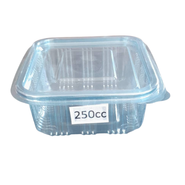 Food Packaging Container with Lid - 125cc between 2000cc - Image 2