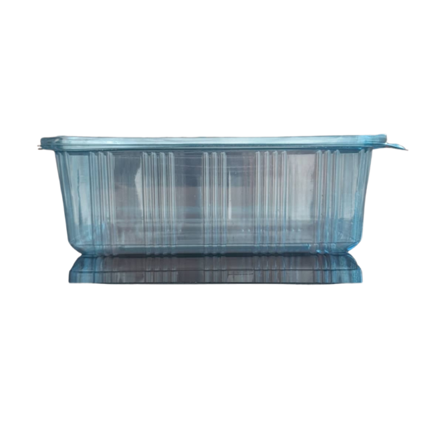 Food Packaging Container with Lid - 125cc between 2000cc - Image 5