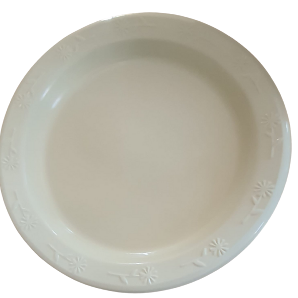 Plastic Plates for food - Image 2