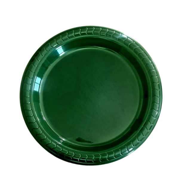 Plastic Plates for food - Image 4